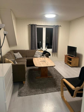 Sentral leilighet i Kristiansand